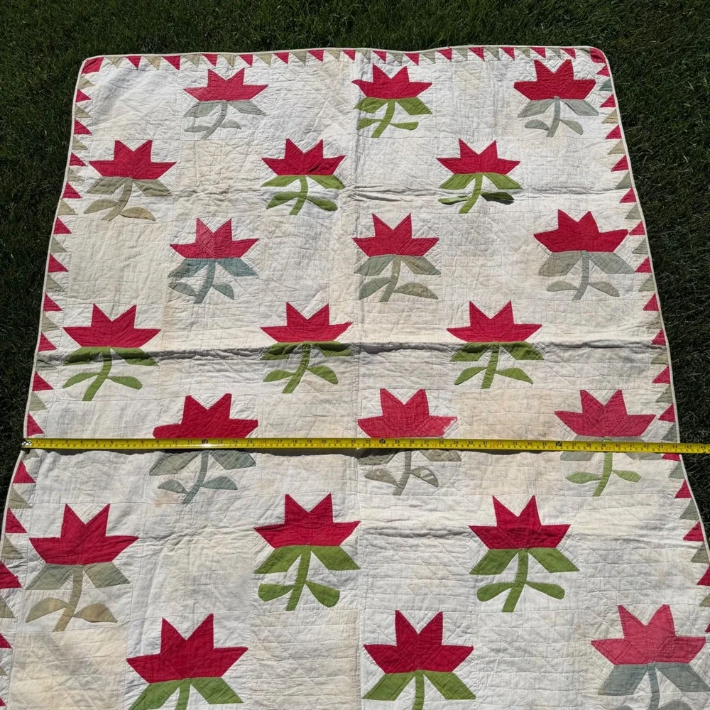 Antique Handmade Floral Applique Quilt Green White Sawtooth Border 53x44 50/60's